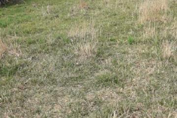 Фото №3: Коммерция 19 м² - Кучугуры, ул. Киевская, 3