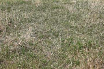 Фото №1: Коммерция 19 м² - Кучугуры, ул. Киевская, 3