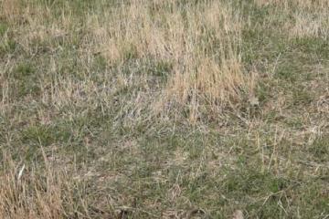 Фото №2: Коммерция 19 м² - Кучугуры, ул. Киевская, 3