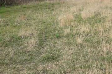 Фото №4: Коммерция 19 м² - Кучугуры, ул. Киевская, 3