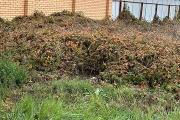 Фото №3: Земельный участок 10.5 сот. - Знаменский, мкр. Карасунский внутригородской округ, ул. Угловая, 25