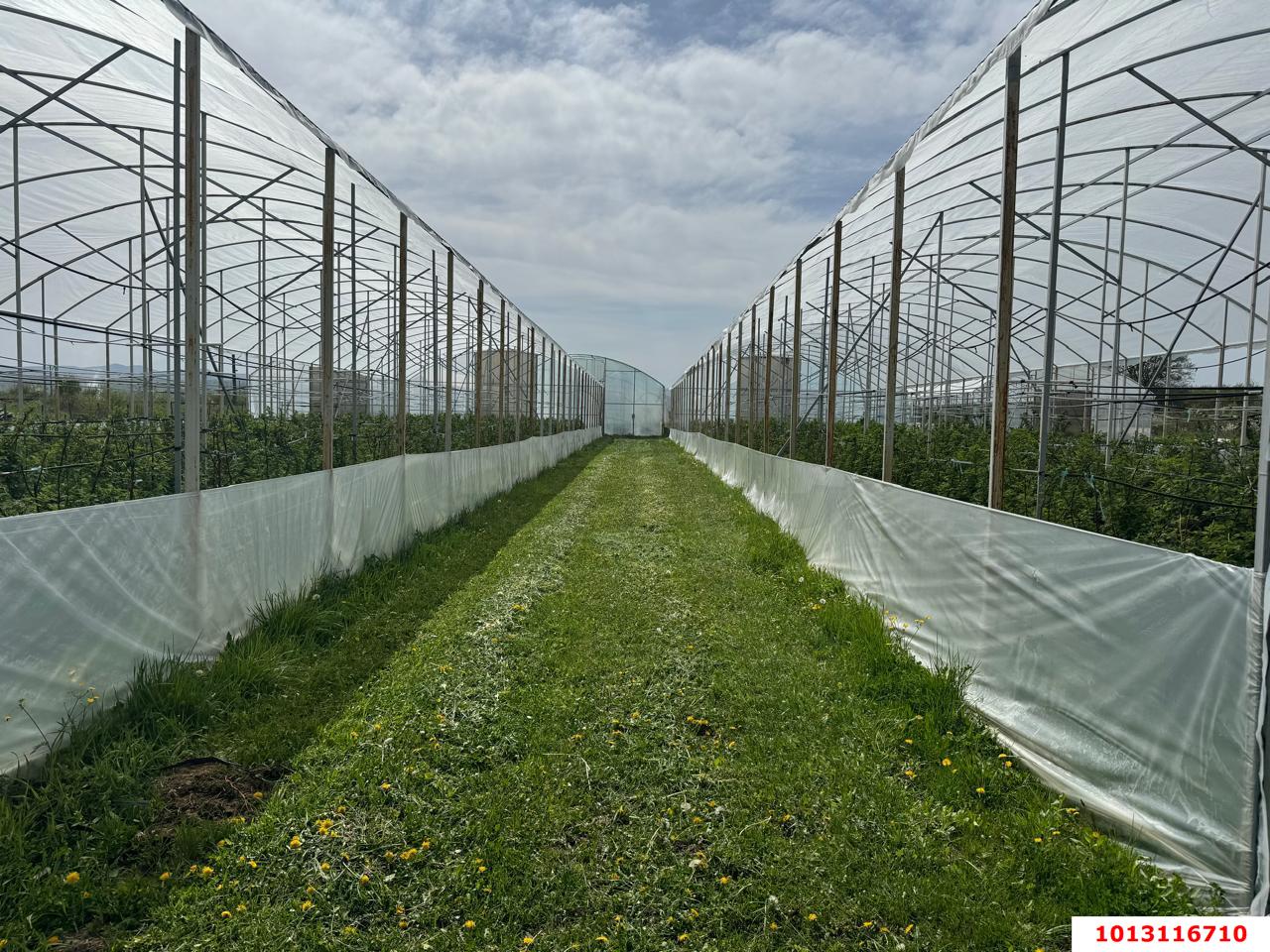 Фото №2: Коммерция 310 м² - Первомайский, ул. Мира, 1