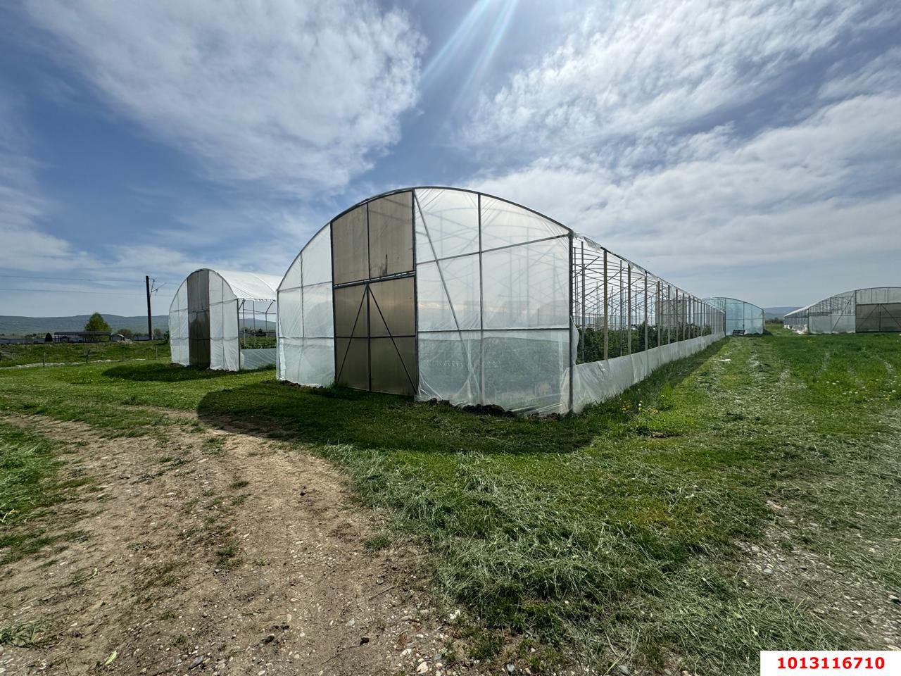 Фото №5: Коммерция 310 м² - Первомайский, ул. Мира, 1