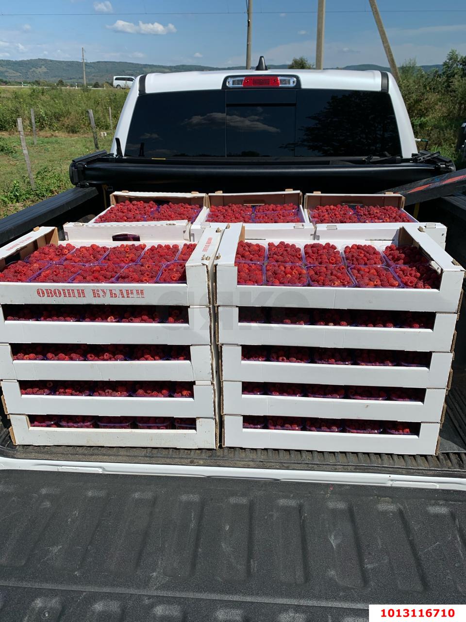 Фото №8: Коммерция 310 м² - Первомайский, ул. Мира, 1