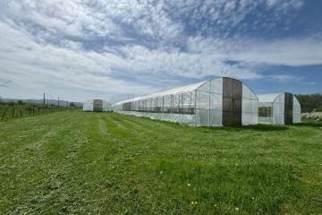 Фото №1: Коммерция 310 м² - Первомайский, ул. Мира, 1