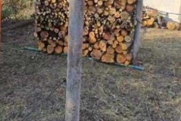 Фото №1: Земельный участок 4 сот. - Краснодар, ст КНИИСХ, ул. Земляничная, 263