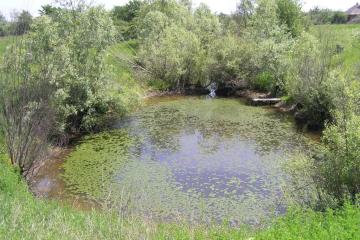 Фото №2: Земельный участок 80 сот. - Смоленская, ул. Бездорожная, 10