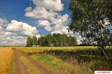 Фото №4: Коммерция 50 м² - Григорьевская, мкр. Прикубанский внутригородской округ, ул. Морская, 1