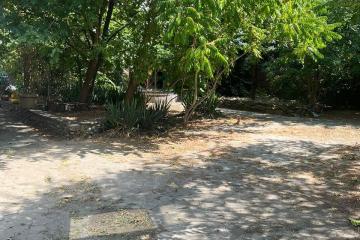 Фото №5: Коммерция 570 м² - Краснодар, мкр. Центральный, ул. Ленина, 53