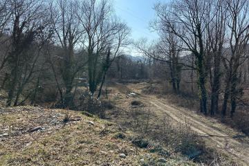 Фото №2: Коммерция 79 м² - Даховская, 