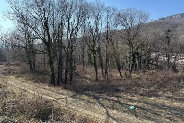 Фото №3: Коммерция 79 м² - Даховская, 