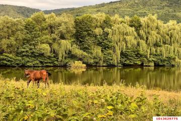 Фото №1: Коммерция 30 м² - Даховская, ул. Советская, 20