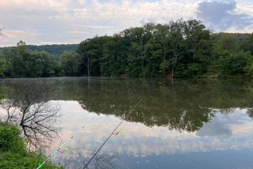 Фото №4: Коммерция 30 м² - Даховская, мкр. Светлоград, ул. Советская, 20