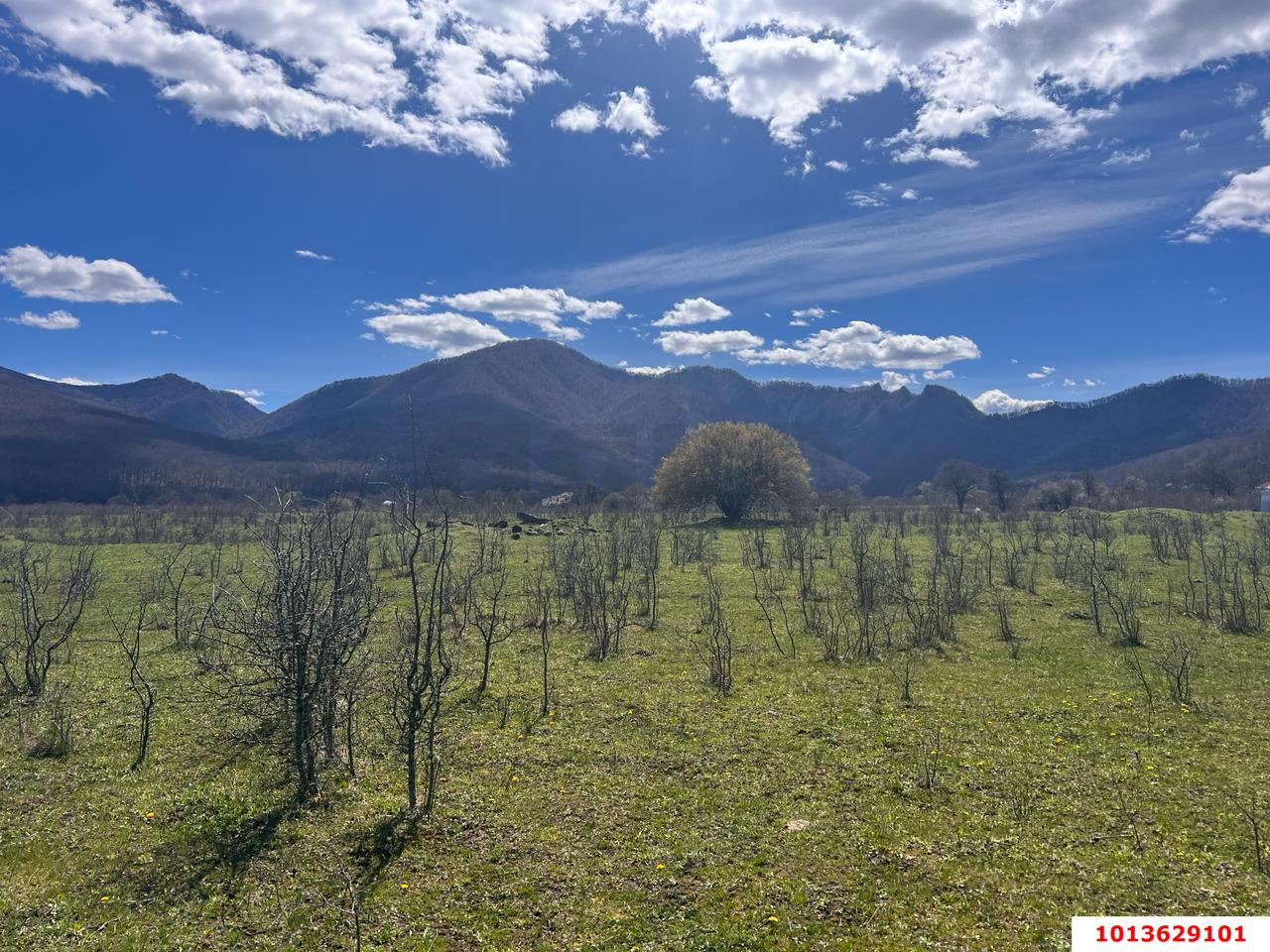 Фото №10: Коммерция 9 м² - Даховская, Прикубанский внутригородской округ, жилой комплекс Западный Город, Восточный, Западный внутригородской округ, Фестивальный, Карасунский внутригородской округ, Гидростроителей, Славянский, мкр. Светлоград, ул. Советская, 20