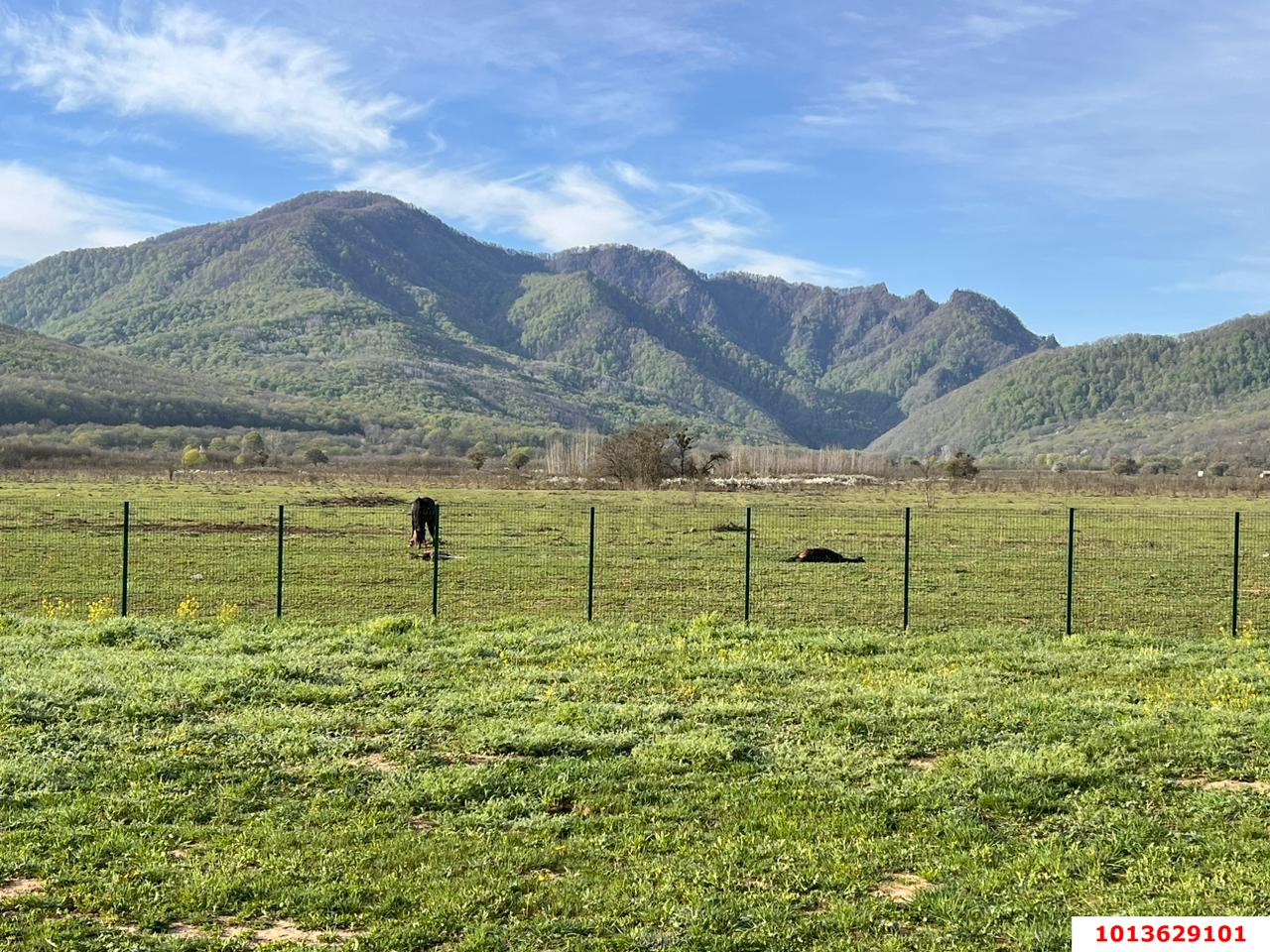 Фото №14: Коммерция 9 м² - Даховская, Прикубанский внутригородской округ, жилой комплекс Западный Город, Восточный, Западный внутригородской округ, Фестивальный, Карасунский внутригородской округ, Гидростроителей, Славянский, мкр. Светлоград, ул. Советская, 20