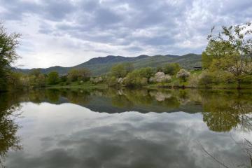 Фото №2: Коммерция 9 м² - Даховская, мкр. Светлоград, ул. Советская, 20