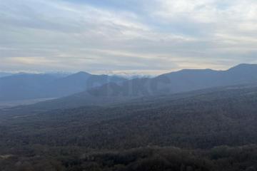 Фото №1: Коммерция 49 м² - Даховская, мкр. Карасунский внутригородской округ, ул. Мира, 18