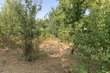 Фото №3: Коммерция 4 м² - Электрон, мкр. Карасунский внутригородской округ, ул. Вишнёвая, 41