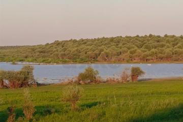 Фото №5: Земельный участок 6 сот. - Старокорсунская, мкр. Карасунский внутригородской округ, пер. Закрытый