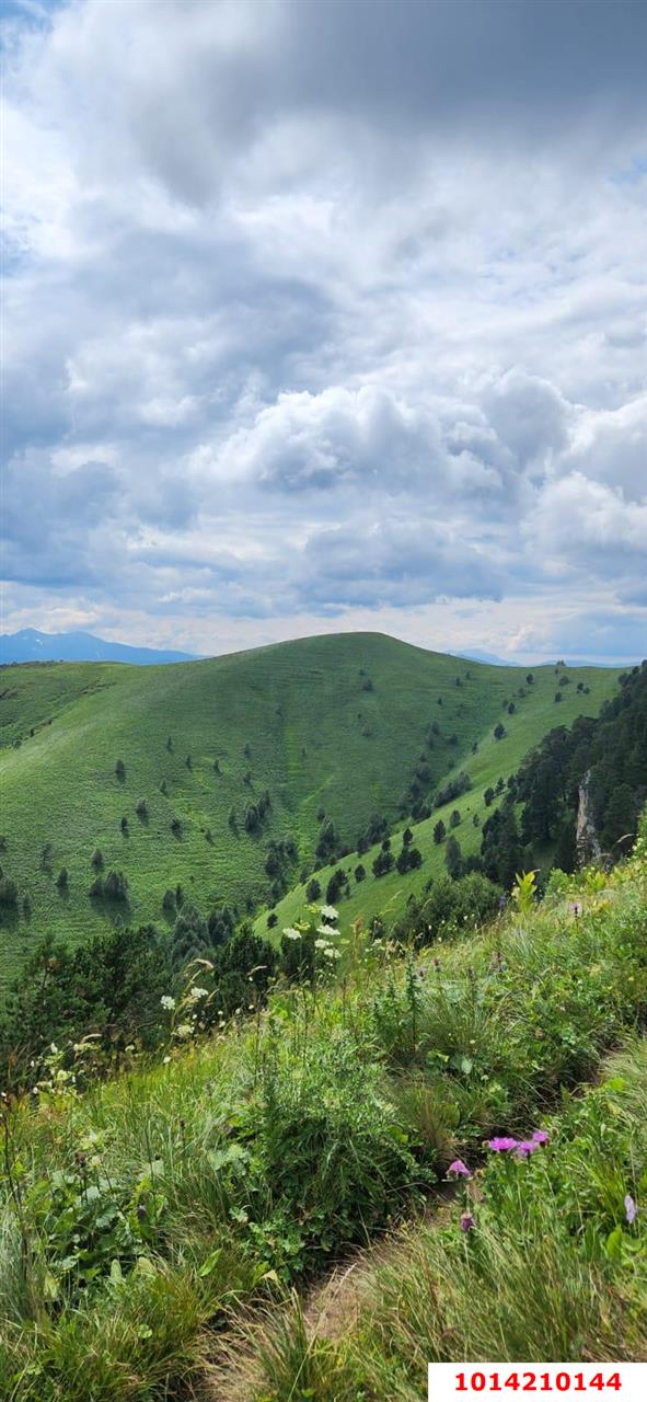 Фото №8: Коммерция 150 м² - Даховская, Прикубанский внутригородской округ, жилой комплекс Западный Город, Восточный, Западный внутригородской округ, Фестивальный, Карасунский внутригородской округ, Гидростроителей, Славянский, мкр. Светлоград, ул. Советская, 20