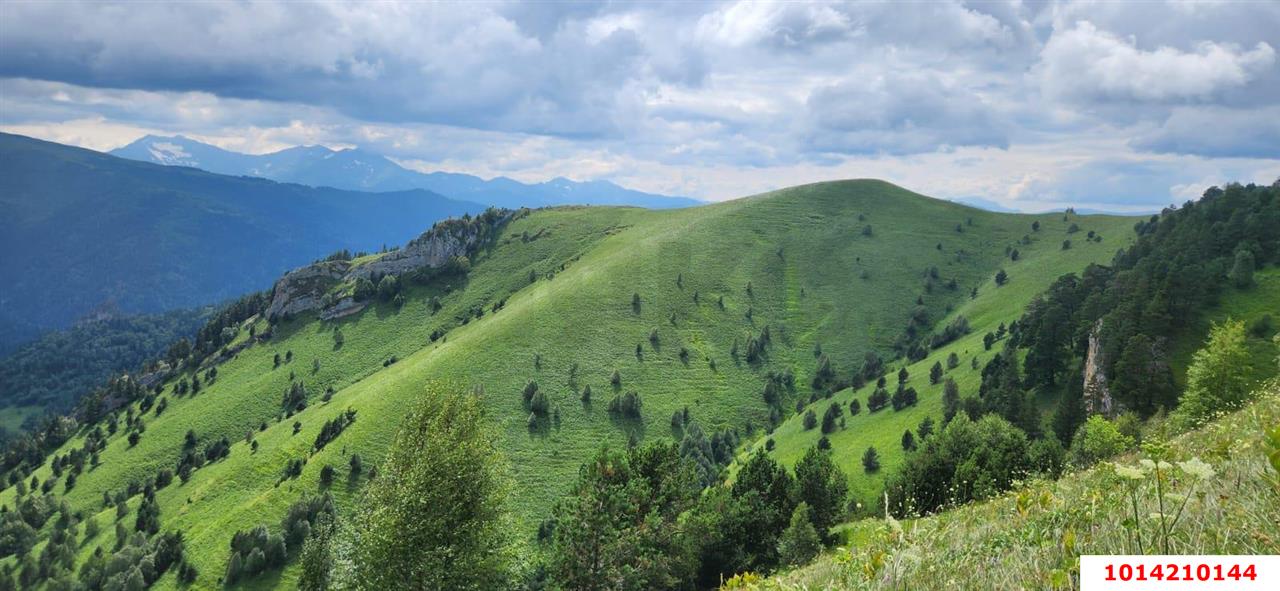 Фото №9: Коммерция 150 м² - Даховская, Прикубанский внутригородской округ, жилой комплекс Западный Город, Восточный, Западный внутригородской округ, Фестивальный, Карасунский внутригородской округ, Гидростроителей, Славянский, мкр. Светлоград, ул. Советская, 20