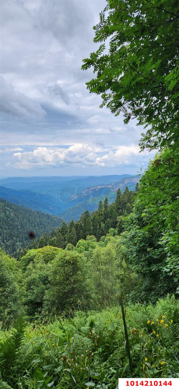 Фото №7: Коммерция 150 м² - Даховская, Прикубанский внутригородской округ, жилой комплекс Западный Город, Восточный, Западный внутригородской округ, Фестивальный, Карасунский внутригородской округ, Гидростроителей, Славянский, мкр. Светлоград, ул. Советская, 20