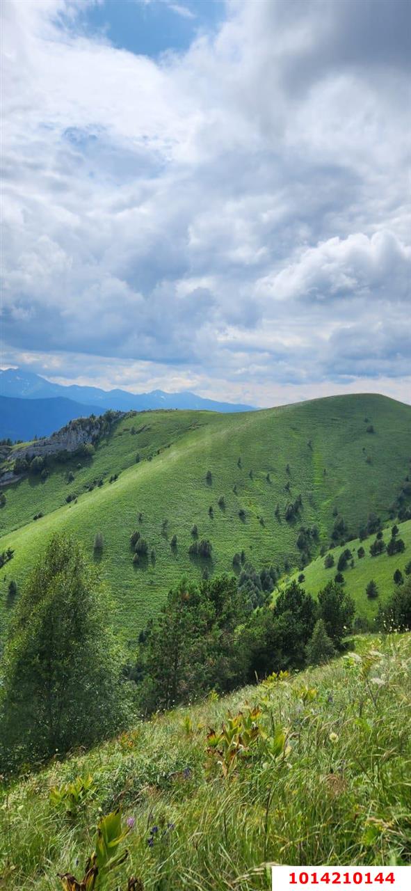 Фото №10: Коммерция 150 м² - Даховская, Прикубанский внутригородской округ, жилой комплекс Западный Город, Восточный, Западный внутригородской округ, Фестивальный, Карасунский внутригородской округ, Гидростроителей, Славянский, мкр. Светлоград, ул. Советская, 20