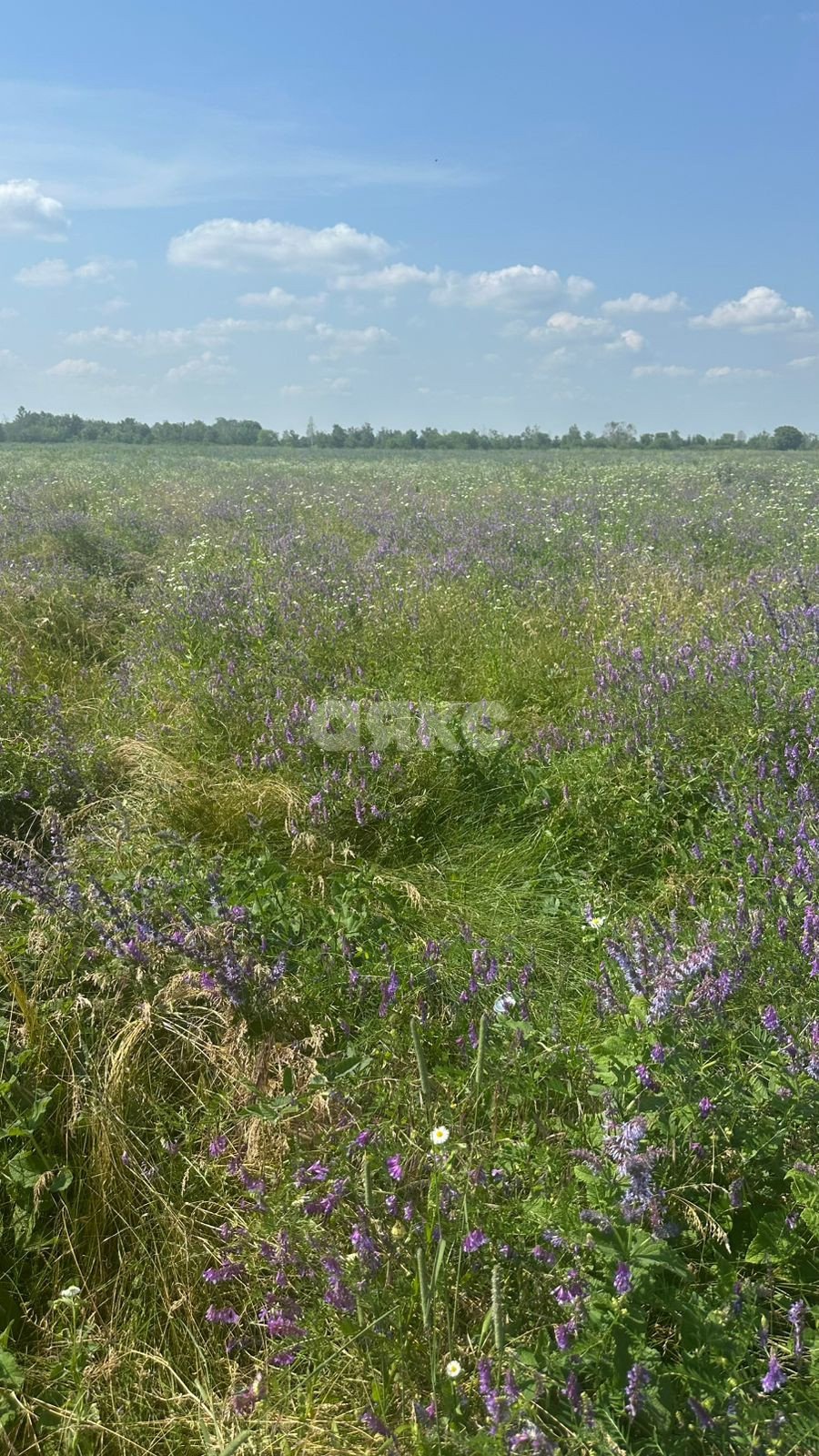 Фото №1: Земельный участок под ИЖС 6 сот. - Майкоп, р. Аэродрома