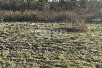 Фото №3: Земельный участок под ИЖС - Майкоп, ул. Ахеджакова, 16