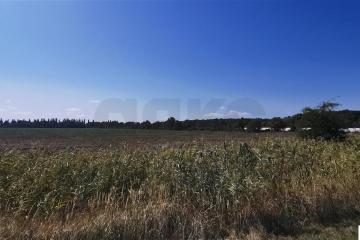 Фото №1: Коммерция 100 м² - Отрадный, ул. Павлова, 19