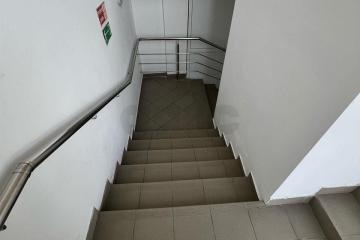 Фото №5: Коммерция 271 м² - Майкоп, мкр. Центр, ул. Крестьянская, 209