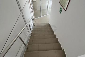 Фото №4: Коммерция 271 м² - Майкоп, мкр. Центр, ул. Крестьянская, 209