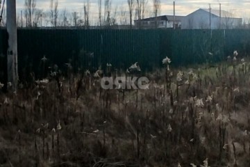 Фото №4: Коммерческая земля - Ханская, 