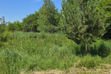 Фото №4: Земельный участок 9.61 сот. - Ленина, мкр. Карасунский внутригородской округ, ул. Огородная, 71