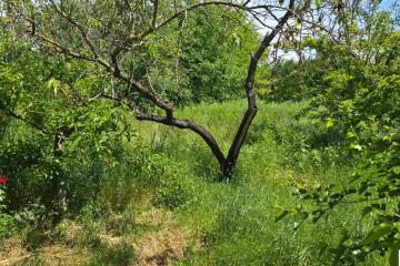 Фото №5: Земельный участок 9.61 сот. - Ленина, мкр. Карасунский внутригородской округ, ул. Огородная, 71