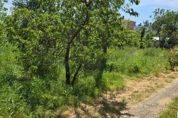 Фото №2: Земельный участок 9.61 сот. - Ленина, мкр. Карасунский внутригородской округ, ул. Огородная, 71