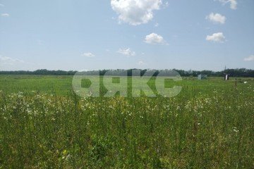 Фото №3: Земельный участок под ИЖС - Родниковый, 