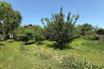 Фото №3: Земельный участок 6.45 сот. - Елизаветинская, ст Росинка, ул. Ореховая, 88