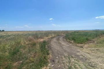 Фото №2: Коммерция 2000 м² - Республика Адыгея (Адыгея) Тахтамукайский район