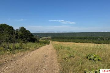 Фото №5: Земельный участок 10000 сот. - Краснооктябрьский, мкр. Западный внутригородской округ, ул. Курджипская, 40