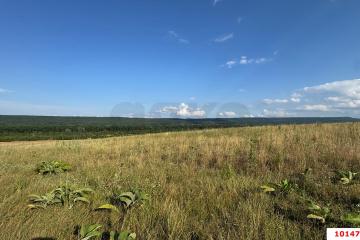 Фото №4: Земельный участок 10000 сот. - Краснооктябрьский, мкр. Западный внутригородской округ, ул. Курджипская, 40