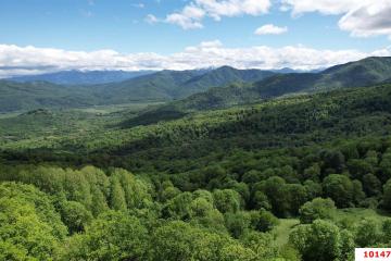 Фото №2: Коммерция 100 м² - Даховская, мкр. Светлоград, ул. Советская, 20