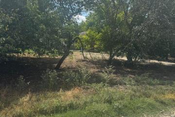 Фото №3: Коммерция 10 м² - Петропавловская, пер. Толстого