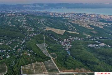 Фото №5: Земельный участок 7 сот. - СНТ Рыбак, ул. Лучистая, 17