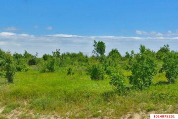 Фото №1: Земельный участок 7 сот. - СНТ Рыбак, ул. Лучистая, 17