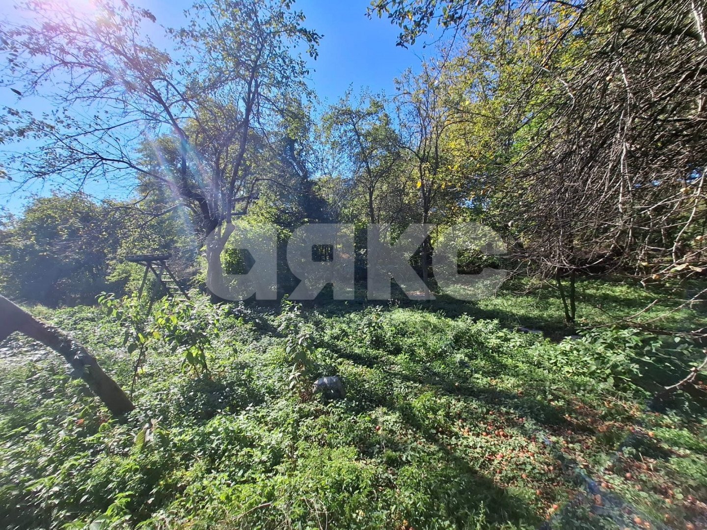 Фото №4: Личное подсобное хозяйство 12.72 сот. - Грозный, ул. Заводская, 32