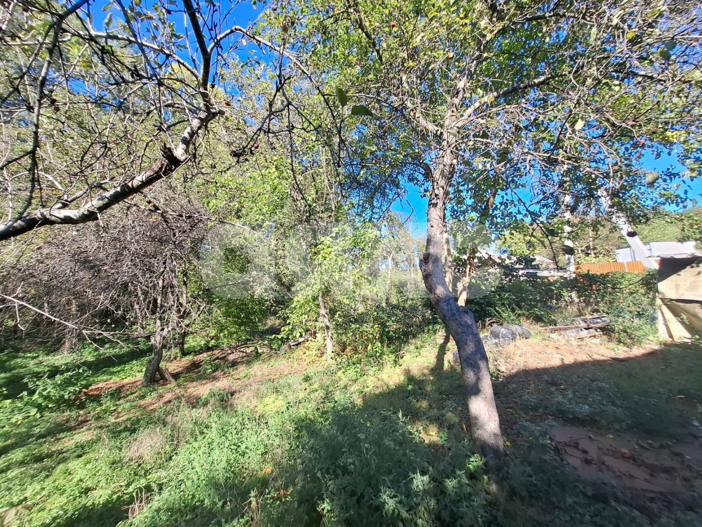 Фото №3: Личное подсобное хозяйство 12.72 сот. - Грозный, ул. Заводская, 32