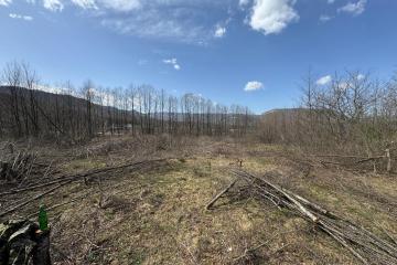 Фото №1: Коммерция 10 м² - Хамышки, ул. Советская, 44