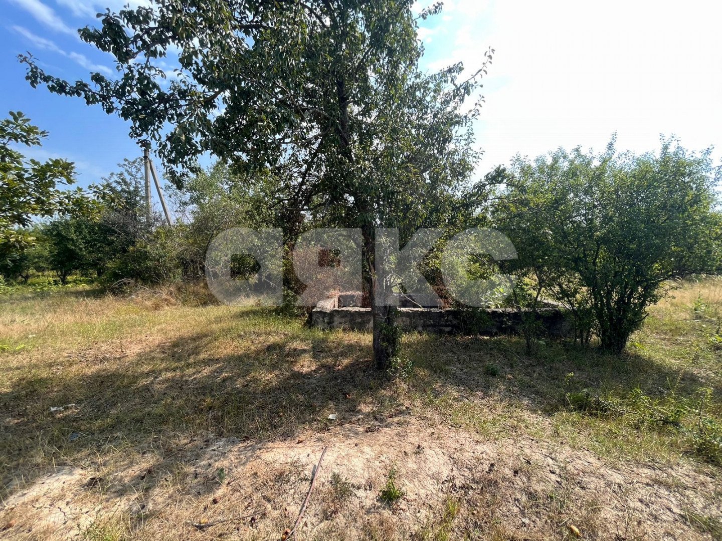 Фото №3: Участок садоводство 5 сот. - Автомобилист, ул. Коллективная