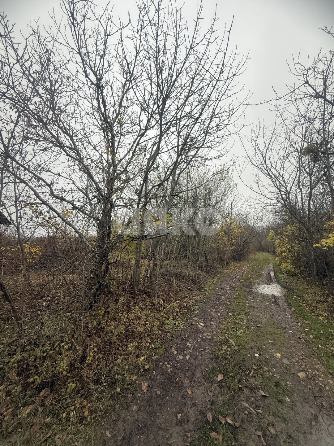 Фото №9: Участок садоводство 5 сот. - Майкоп, мкр. СНТ Звёздочка, ул. Роз, 23